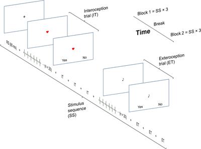 Behavioral Inhibition Underlies the Link Between Interoceptive Sensitivity and Anxiety-Related Temperamental Traits